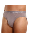 Tommy Hilfiger Hármas csomag - férfi alsónadrág Tommy Hilfiger többszínű