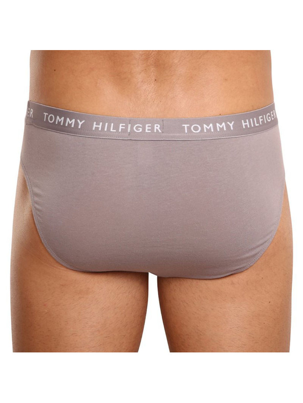 Tommy Hilfiger Hármas csomag - férfi alsónadrág Tommy Hilfiger többszínű