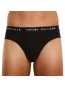 Tommy Hilfiger Hármas csomag - férfi alsónadrág Tommy Hilfiger többszínű