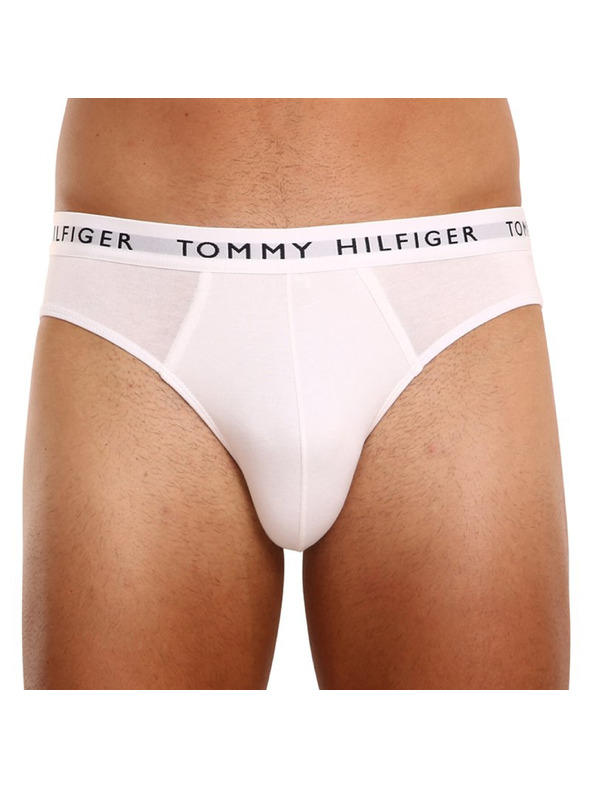 Tommy Hilfiger Hármas csomag - férfi alsónadrág Tommy Hilfiger többszínű