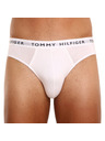 Tommy Hilfiger Hármas csomag - férfi alsónadrág Tommy Hilfiger többszínű