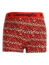 Gianvaglia Öt darabos szett - lány boxeralsó Gianvaglia többszínű