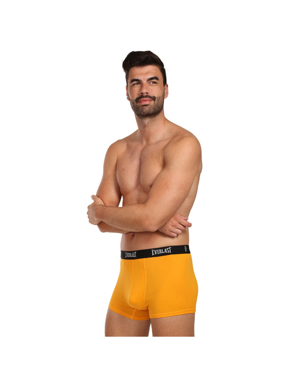 Everlast Négy darab - férfi boxeralsó Everlast többszínű