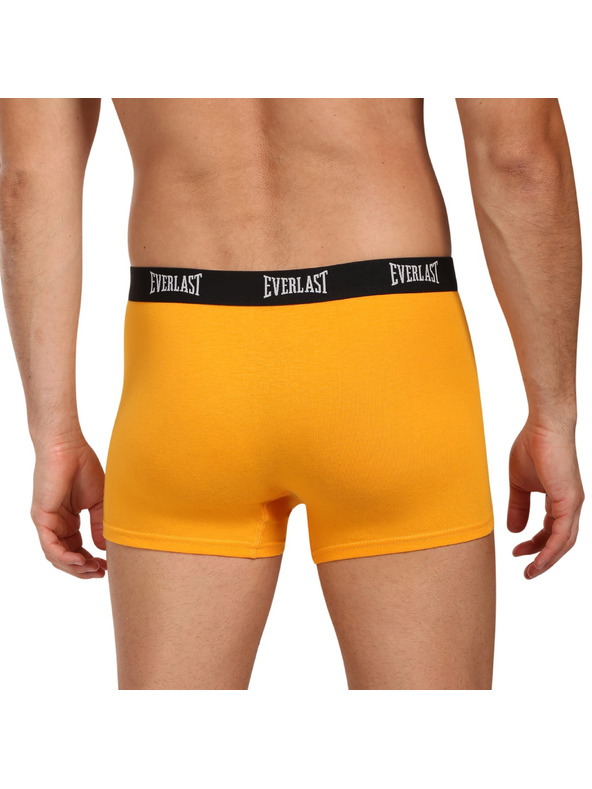 Everlast Négy darab - férfi boxeralsó Everlast többszínű