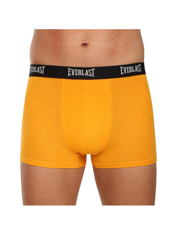 Everlast Négy darab - férfi boxeralsó Everlast többszínű