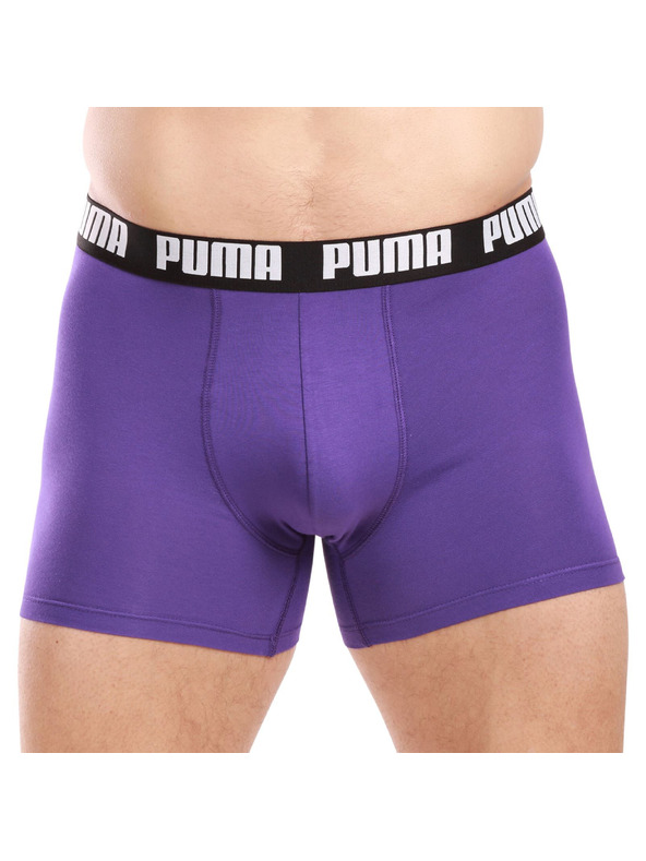 Puma Két darabos szett - Puma férfi boxeralsó többszínű