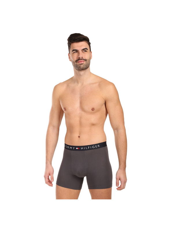 Tommy Hilfiger Hármas szett - Tommy Hilfiger férfi boxeralsó többszínű