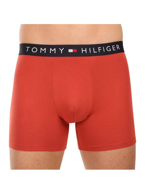 Tommy Hilfiger Hármas szett - Tommy Hilfiger férfi boxeralsó többszínű