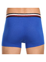 Tommy Hilfiger Hármas szett - Tommy Hilfiger férfi boxeralsó többszínű