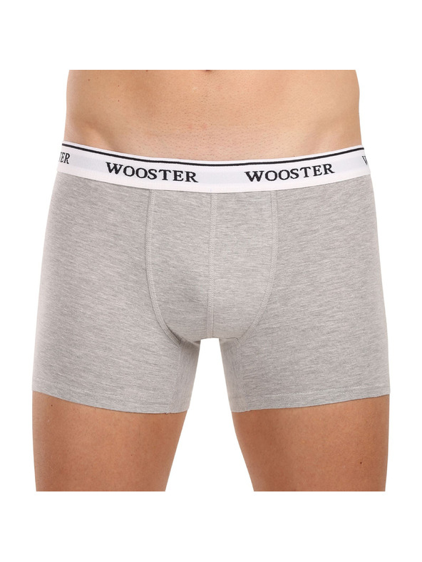 Wooster Hármas szett - férfi boxeralsó Wooster többszínű