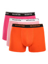 Wooster Hármas szett - férfi boxeralsó Wooster többszínű