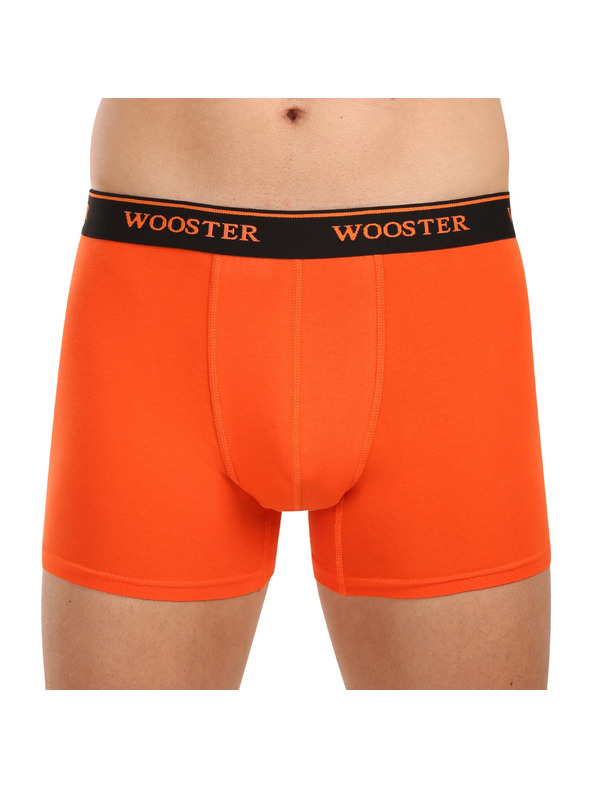 Wooster Hármas szett - férfi boxeralsó Wooster többszínű