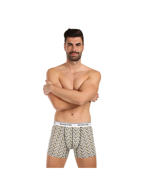 Wooster Hármas szett - férfi boxeralsó Wooster többszínű