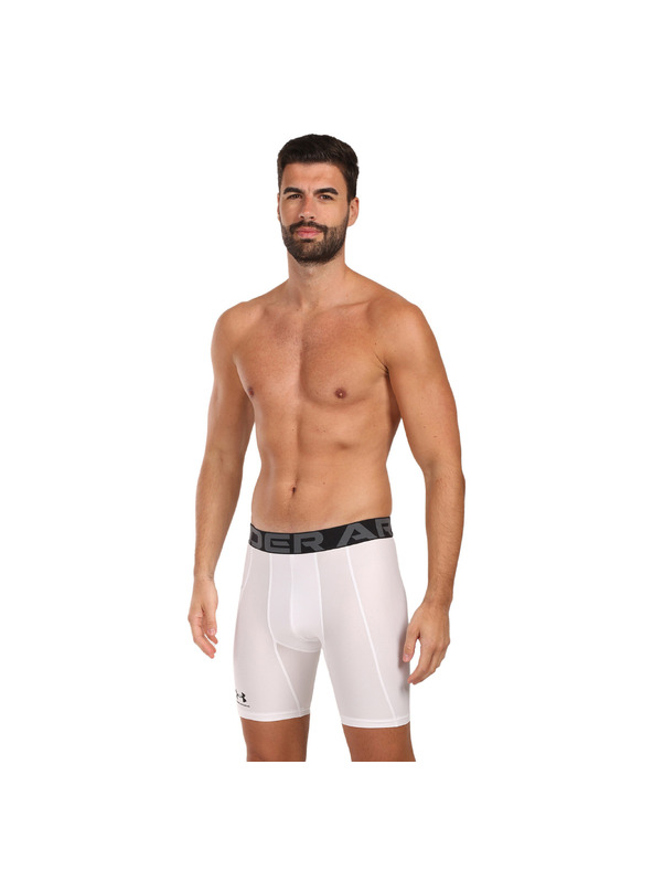 Under Armour Férfi rövidnadrágok Under Armour HG Armour Shorts