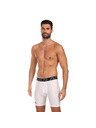 Under Armour Férfi rövidnadrágok Under Armour HG Armour Shorts