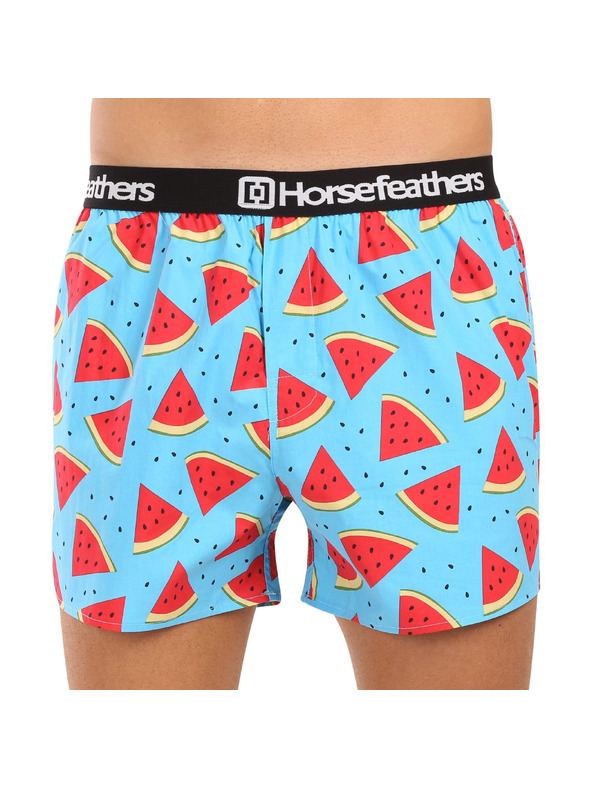 Horsefeathers Frazier Boxeralsó 5Pack - csomag 2