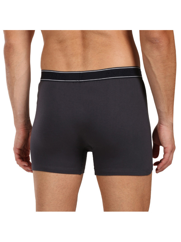 andrie Férfi boxeralsó Andrie többszínű (PS 5828/dark black)
