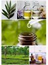 Caribbean Sun Tisztító só tengeri szivacshoz Caribbean Sun Tea Tree 400 g