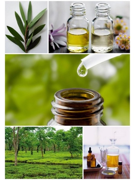 Caribbean Sun Tisztító só tengeri szivacshoz Caribbean Sun Tea Tree 400 g