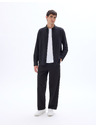 Celio Lapic ing