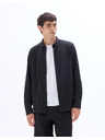 Celio Lapic ing