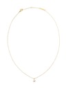 Daniel Wellington Női aranyozott Daniel Wellington nyaklánc DW00401958