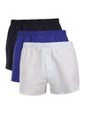Calvin Klein Három darabos csomag - Calvin Klein férfi boxer rövidnadrág többszínű