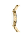 Armani Exchange Női óra Armani Exchange Audora AX4407