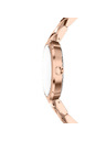 Armani Exchange Női óra Armani Exchange Audora AX4408