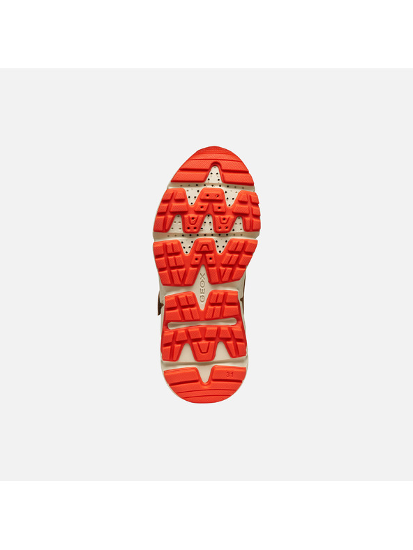 Geox Világosbarna fiú tornacipő Geox Flexyper Plus