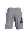 Under Armour Férfi rövidnadrágok Under Armour Rival Fleece Logo Sweatshort