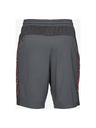 Under Armour MK-1 Rövidnadrág